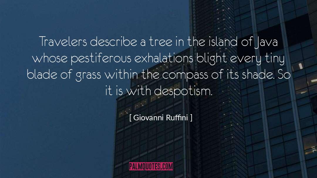 Giovanni Ruffini Quotes: Travelers describe a tree in
