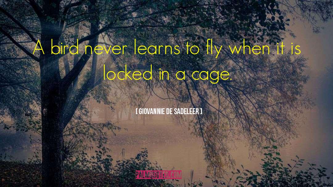 Giovannie De Sadeleer Quotes: A bird never learns to