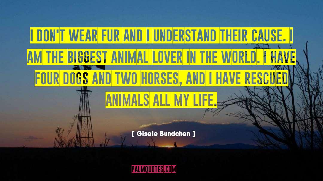 Gisele Bundchen Quotes: I don't wear fur and
