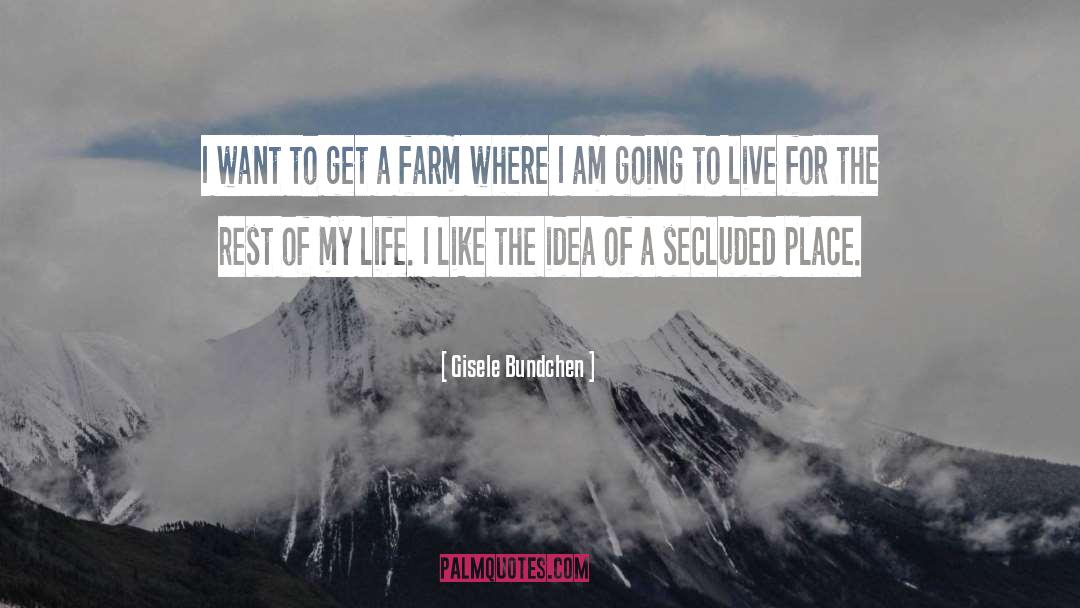 Gisele Bundchen Quotes: I want to get a