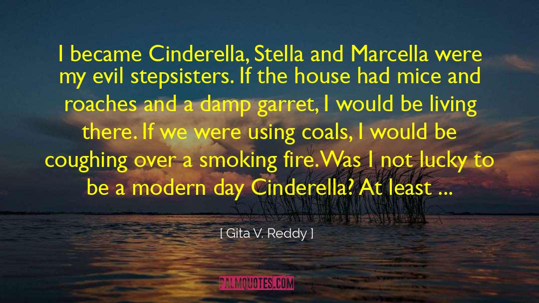 Gita V. Reddy Quotes: I became Cinderella, Stella and