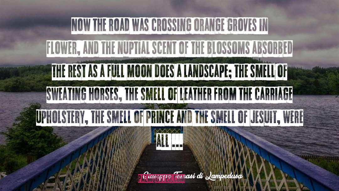 Giuseppe Tomasi Di Lampedusa Quotes: Now the road was crossing
