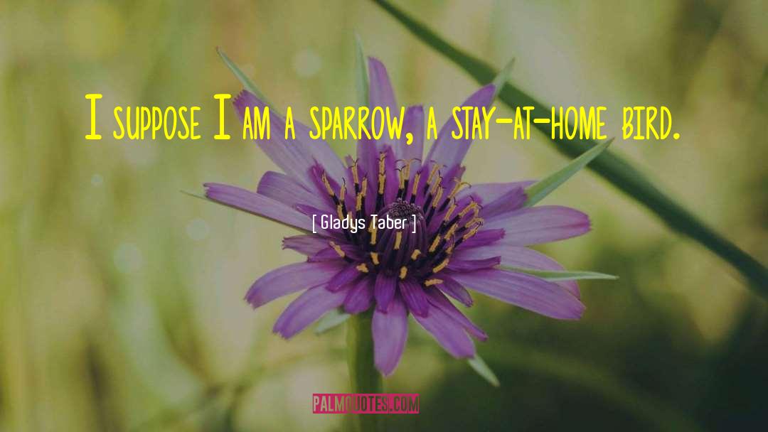 Gladys Taber Quotes: I suppose I am a