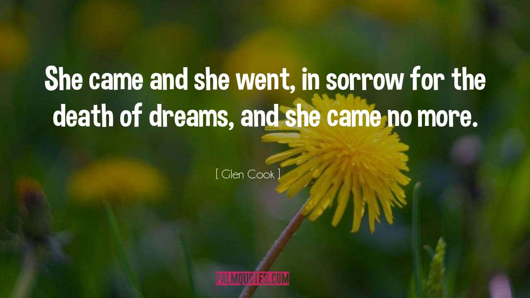 Glen Cook Quotes: She came and she went,