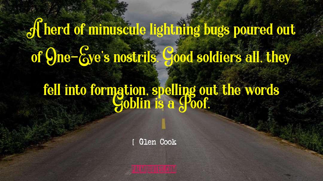 Glen Cook Quotes: A herd of minuscule lightning