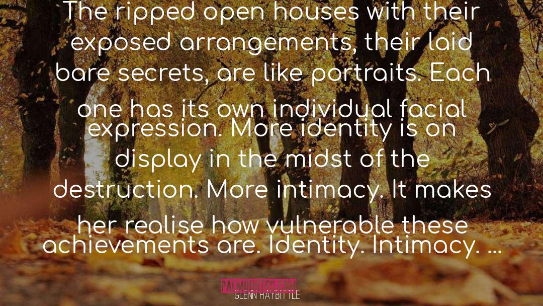 Glenn Haybittle Quotes: The ripped open houses with