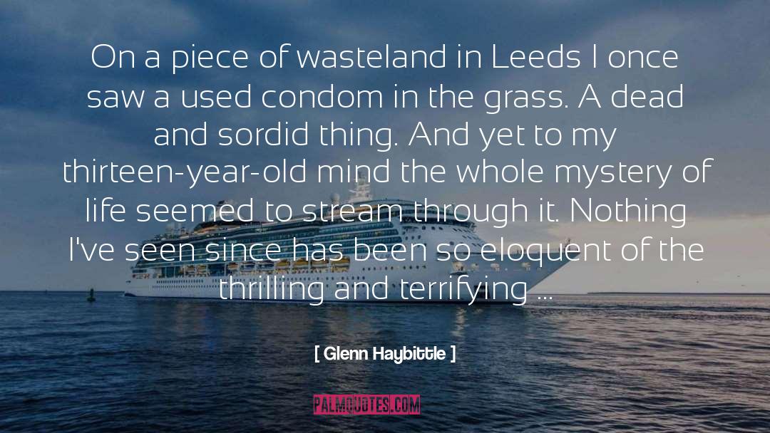 Glenn Haybittle Quotes: On a piece of wasteland