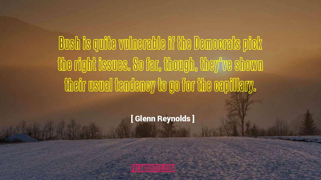 Glenn Reynolds Quotes: Bush is quite vulnerable if