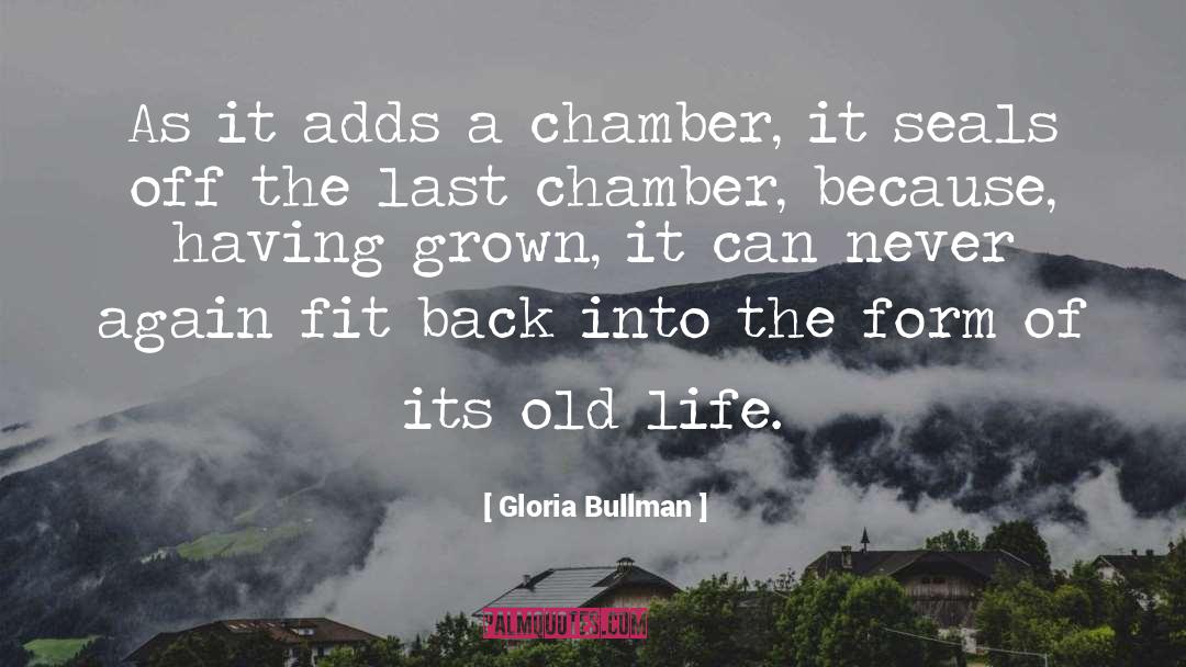 Gloria Bullman Quotes: As it adds a chamber,