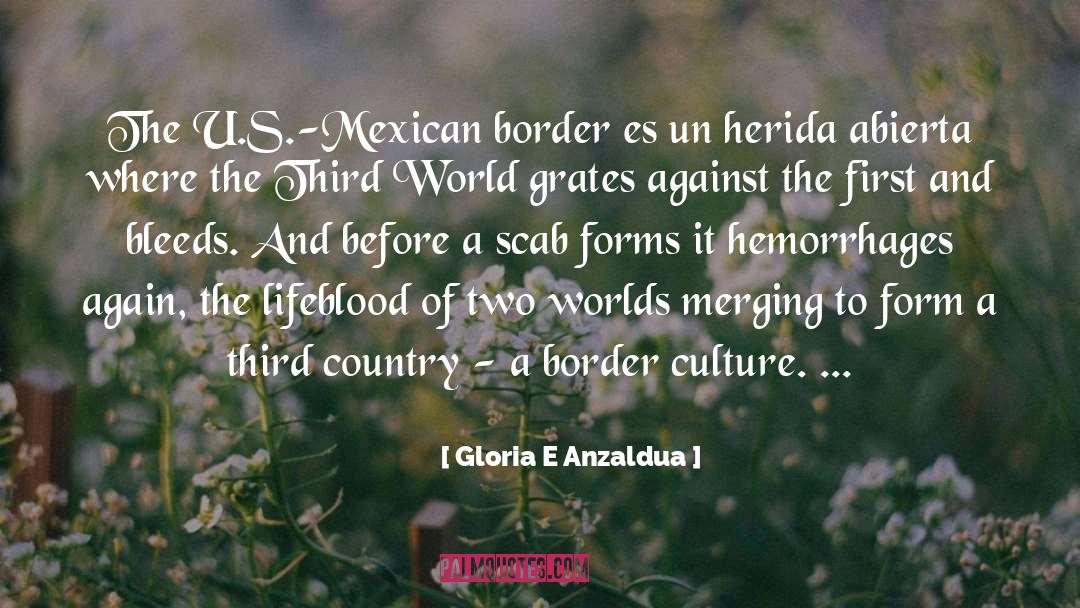 Gloria E Anzaldua Quotes: The U.S.-Mexican border es un