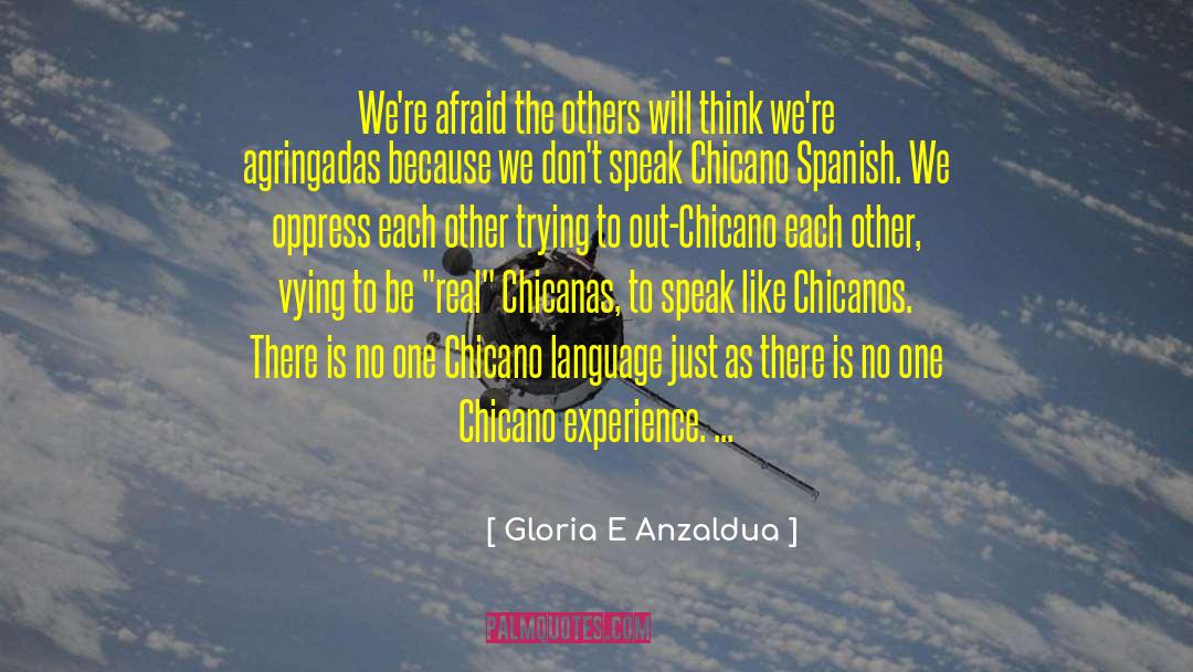 Gloria E Anzaldua Quotes: We're afraid the others will