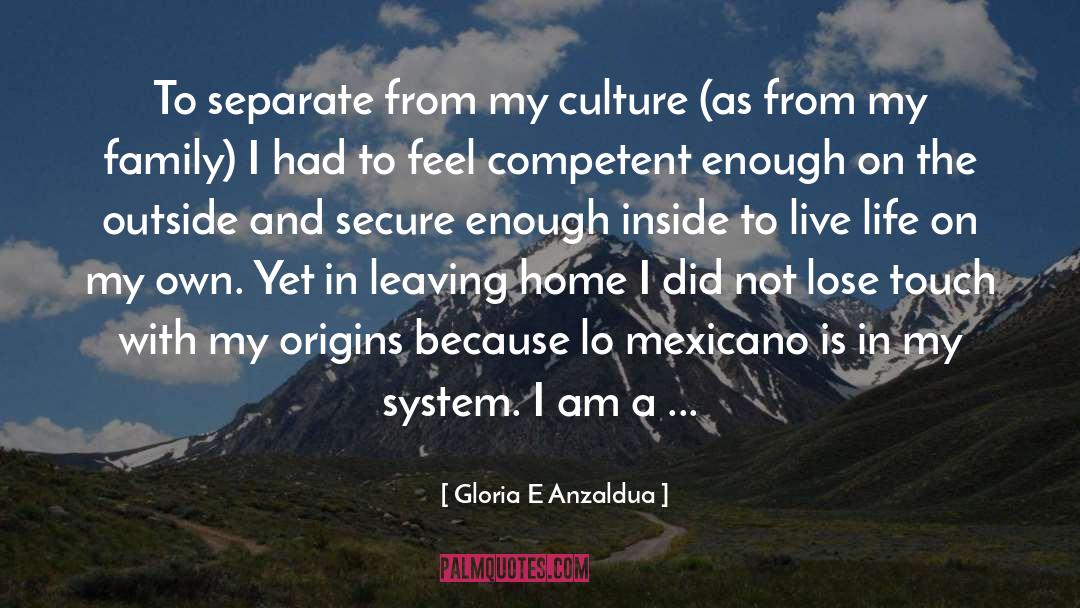 Gloria E Anzaldua Quotes: To separate from my culture