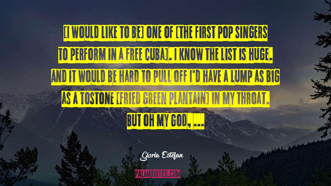 Gloria Estefan Quotes: [I would like to be]