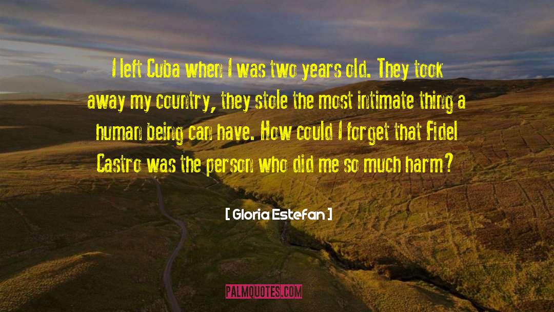 Gloria Estefan Quotes: I left Cuba when I