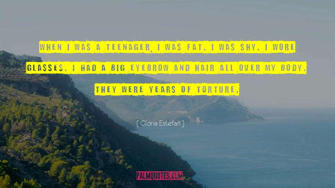 Gloria Estefan Quotes: When I was a teenager,