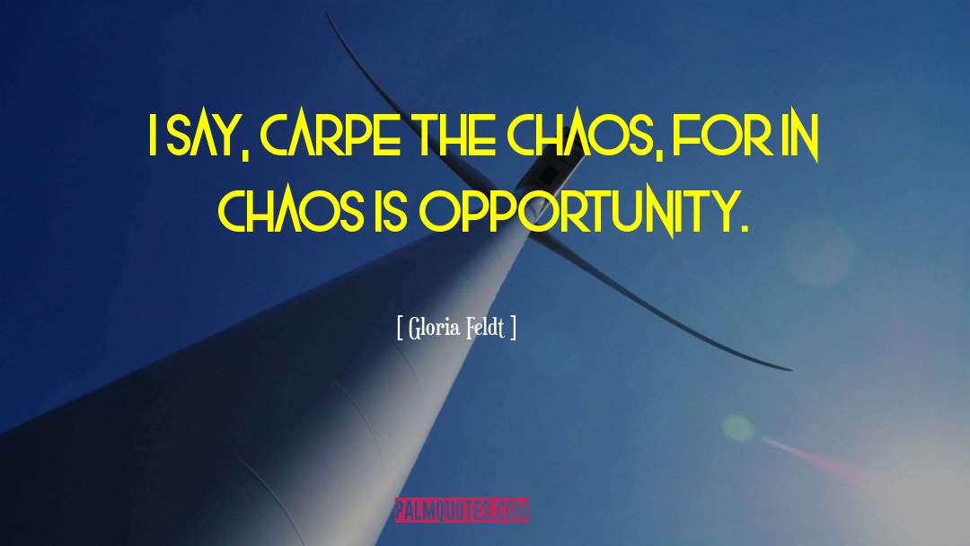 Gloria Feldt Quotes: I say, carpe the chaos,