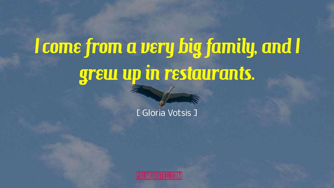 Gloria Votsis Quotes: I come from a very