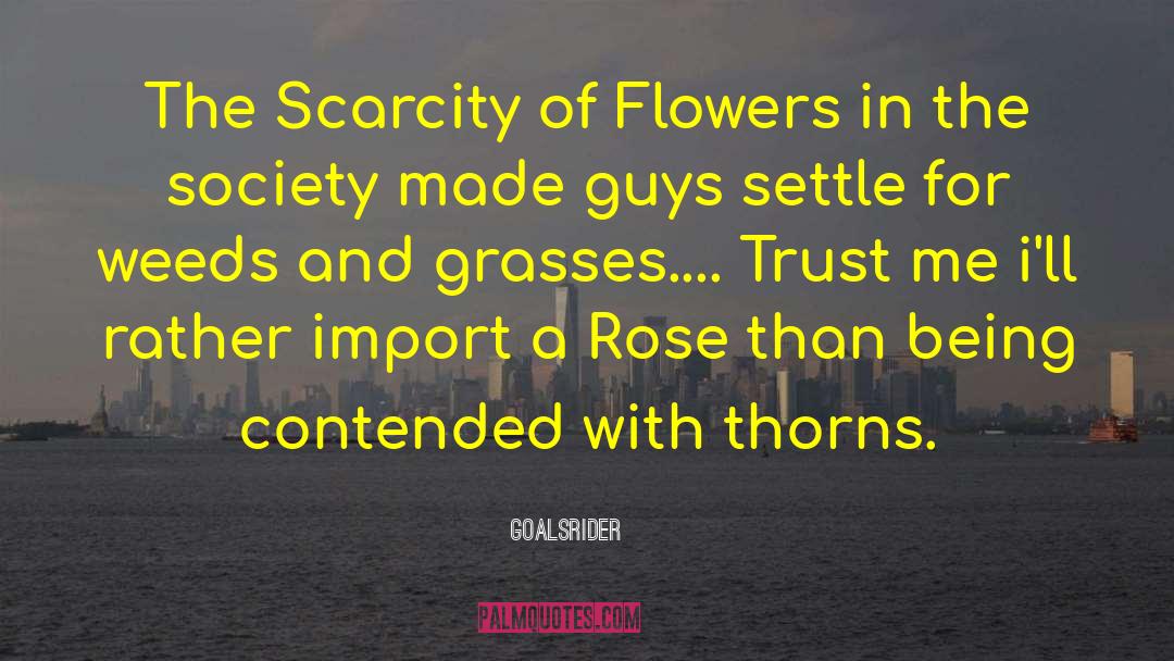 GoalsRider Quotes: The Scarcity of Flowers in