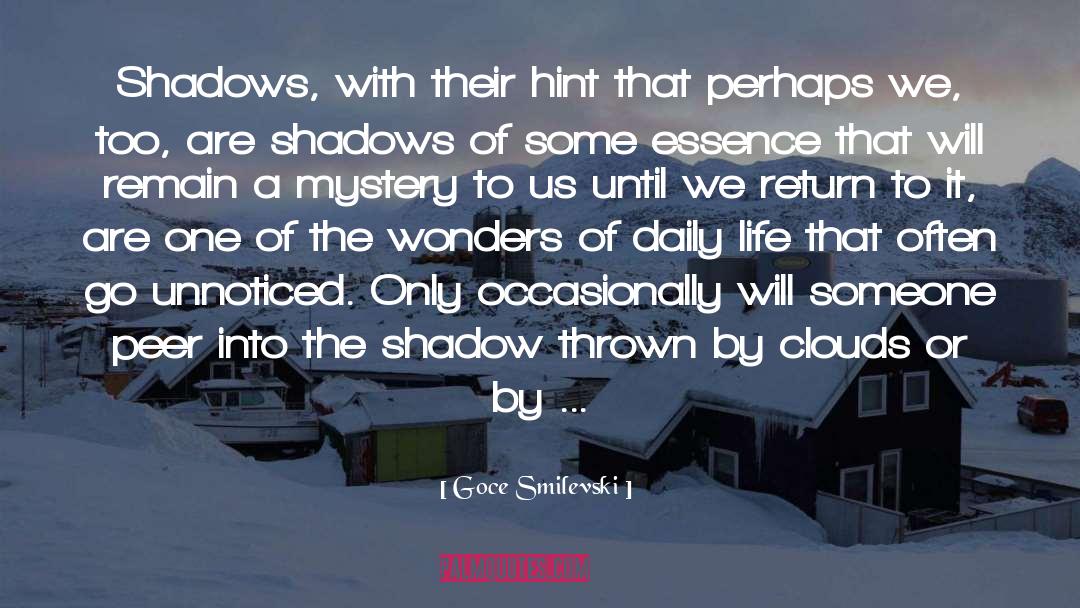 Goce Smilevski Quotes: Shadows, with their hint that