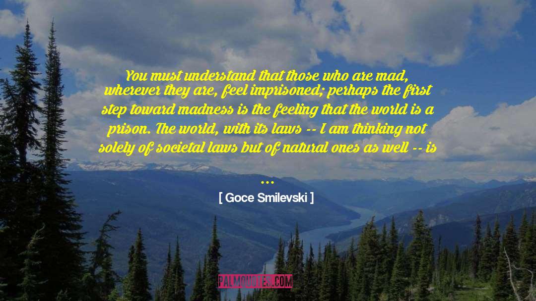 Goce Smilevski Quotes: You must understand that those