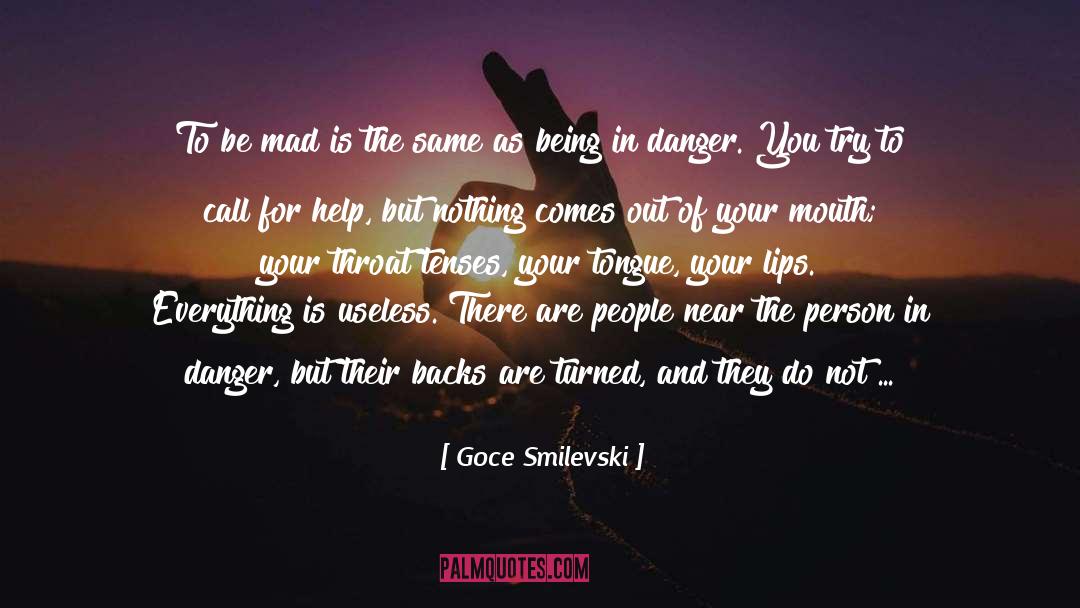 Goce Smilevski Quotes: To be mad is the