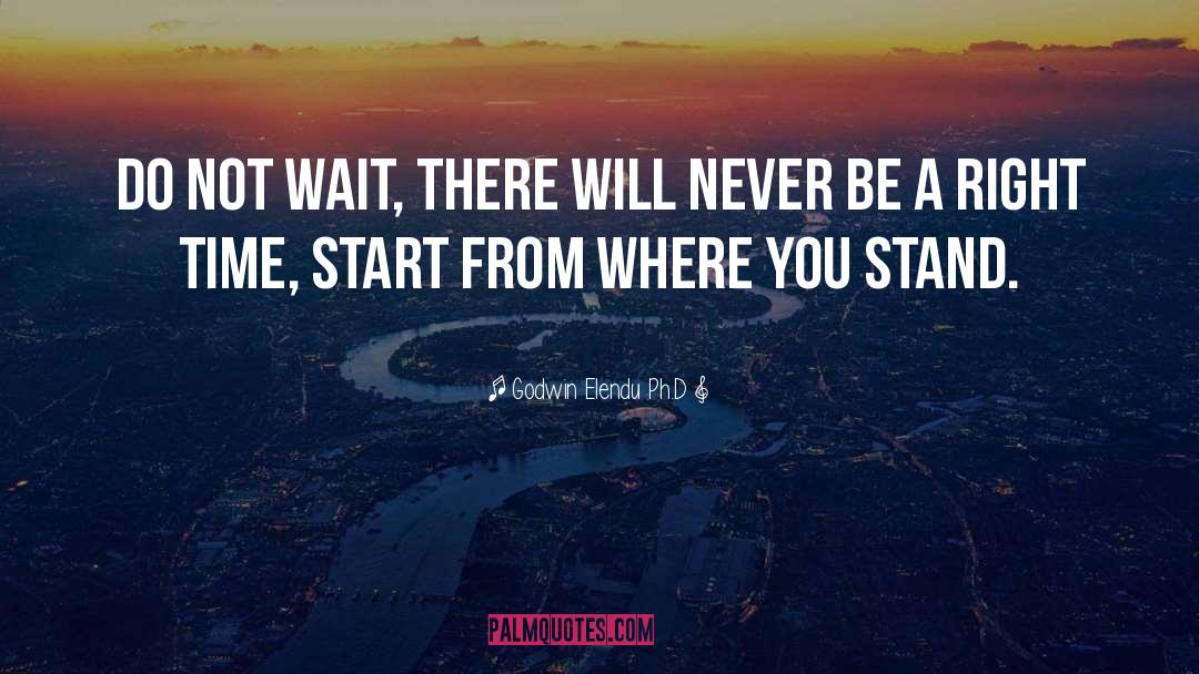 Godwin Elendu Ph.D Quotes: Do not wait, there will