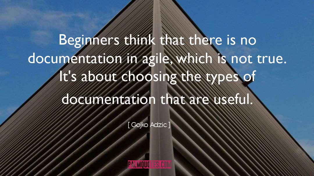 Gojko Adzic Quotes: Beginners think that there is
