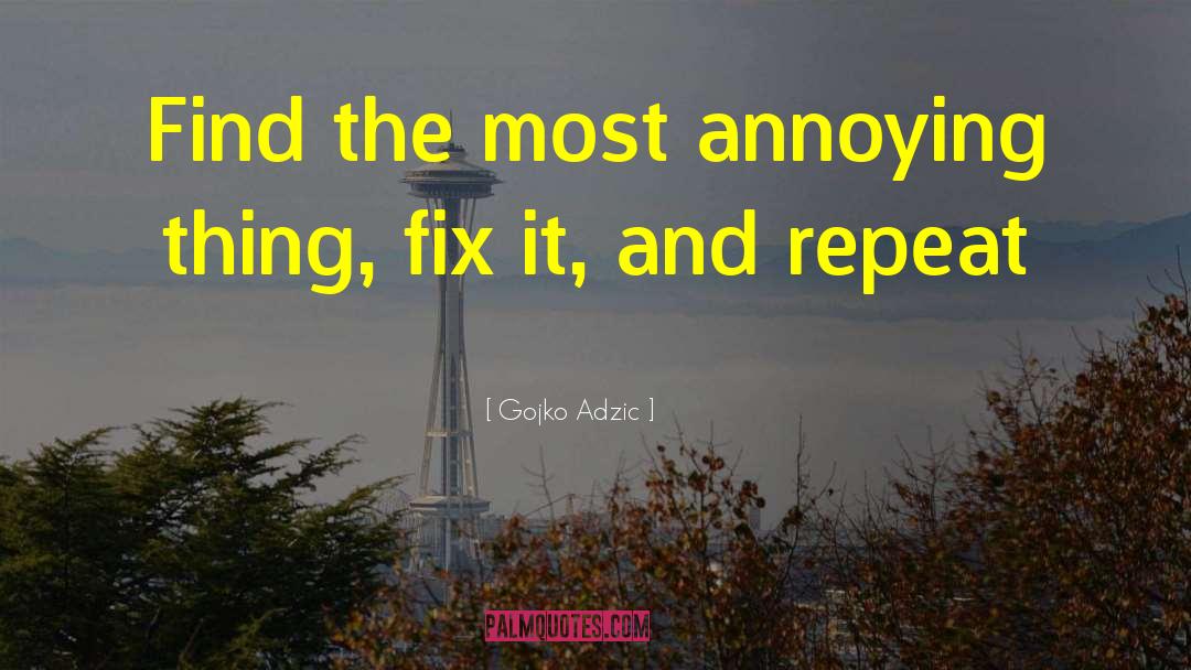 Gojko Adzic Quotes: Find the most annoying thing,