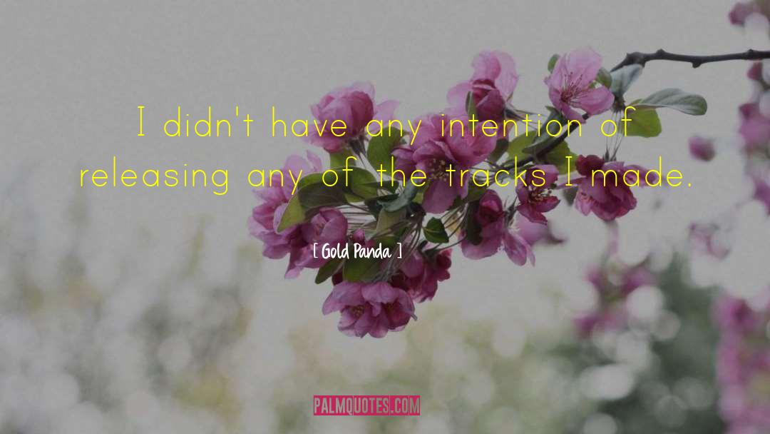 Gold Panda Quotes: I didn't have any intention