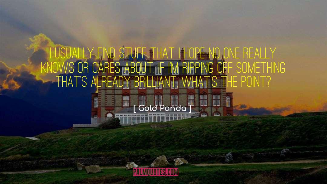 Gold Panda Quotes: I usually find stuff that
