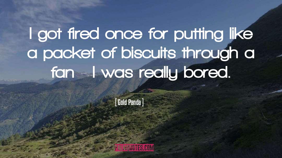 Gold Panda Quotes: I got fired once for