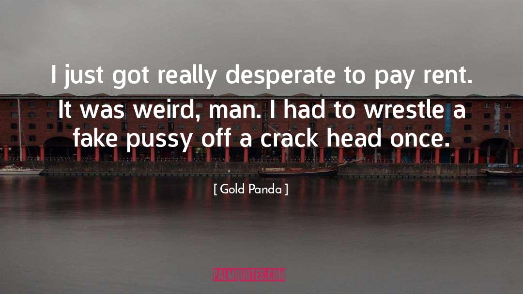 Gold Panda Quotes: I just got really desperate