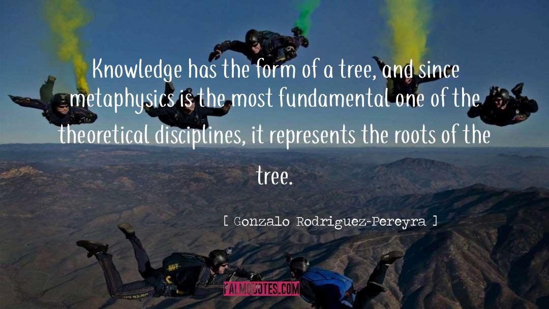 Gonzalo Rodriguez-Pereyra Quotes: Knowledge has the form of