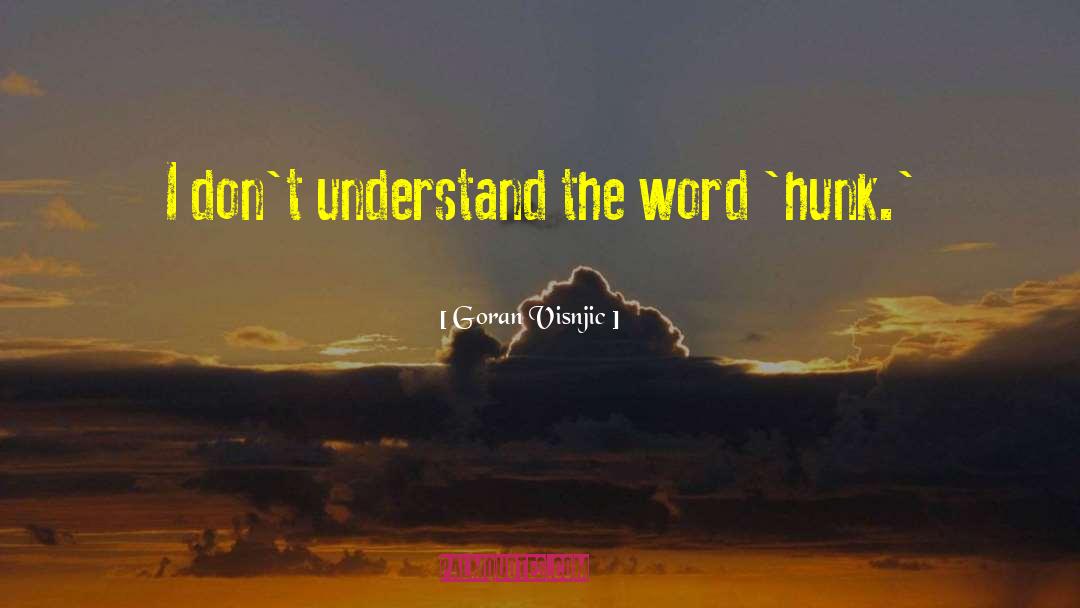 Goran Visnjic Quotes: I don't understand the word