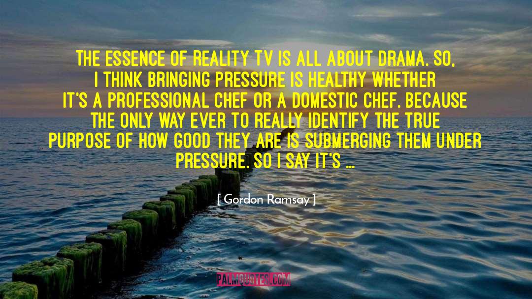 Gordon Ramsay Quotes: The essence of Reality TV