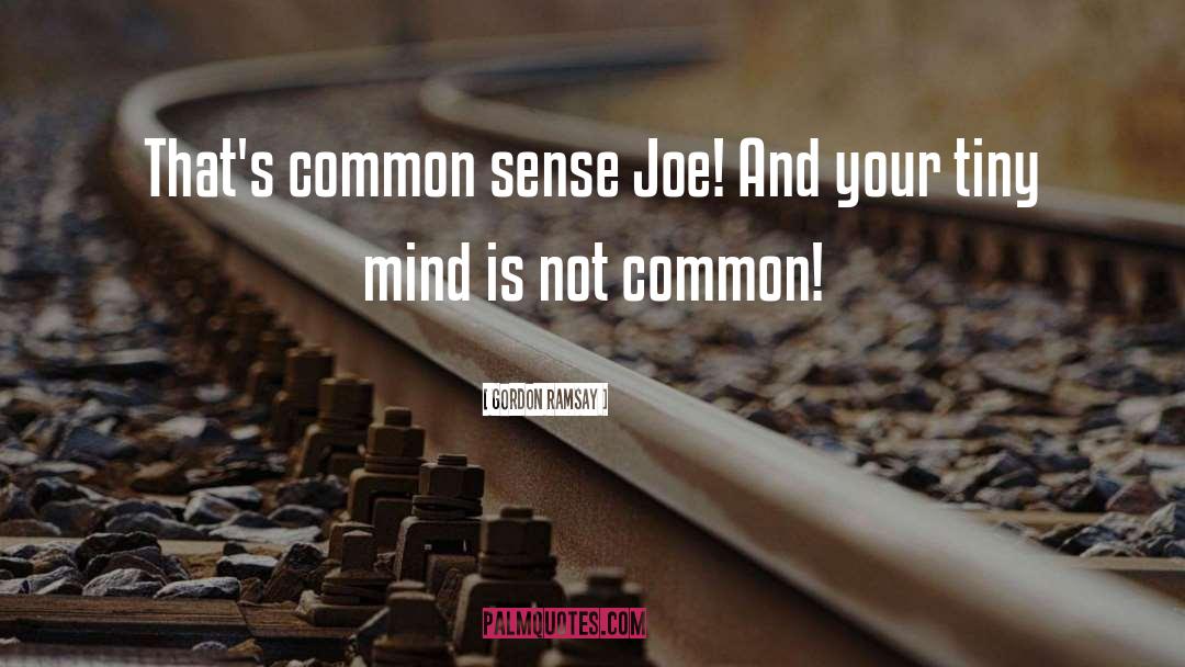 Gordon Ramsay Quotes: That's common sense Joe! And