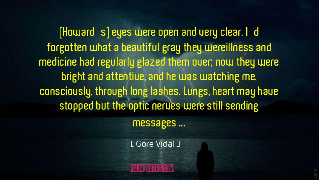 Gore Vidal Quotes: [Howard's] eyes were open and