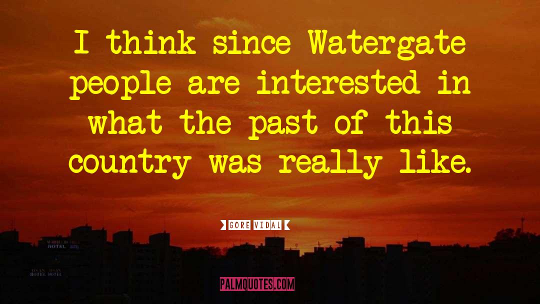Gore Vidal Quotes: I think since Watergate people