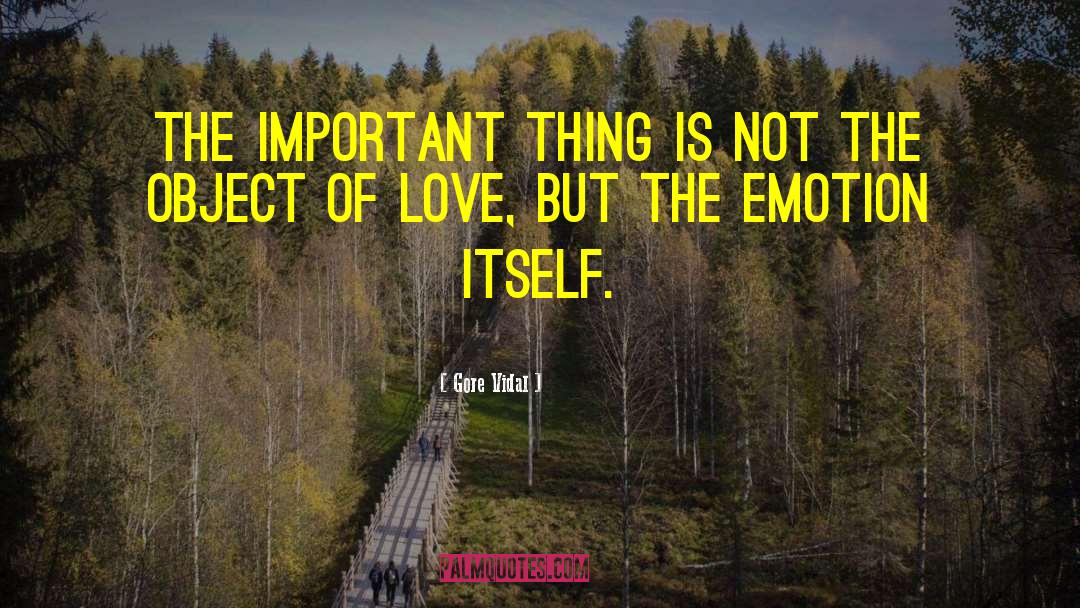 Gore Vidal Quotes: The important thing is not