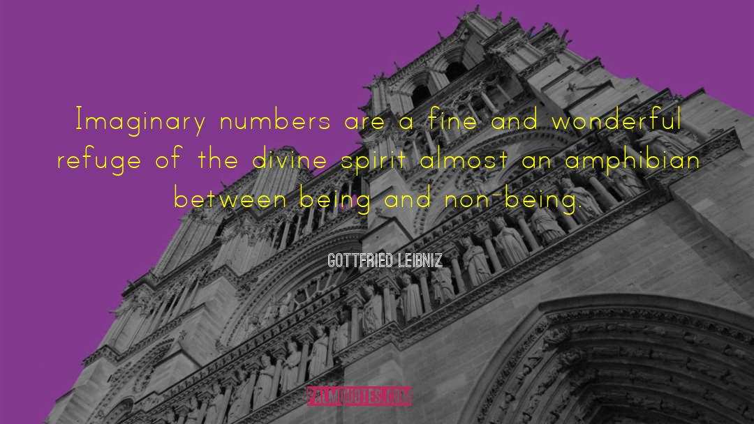 Gottfried Leibniz Quotes: Imaginary numbers are a fine