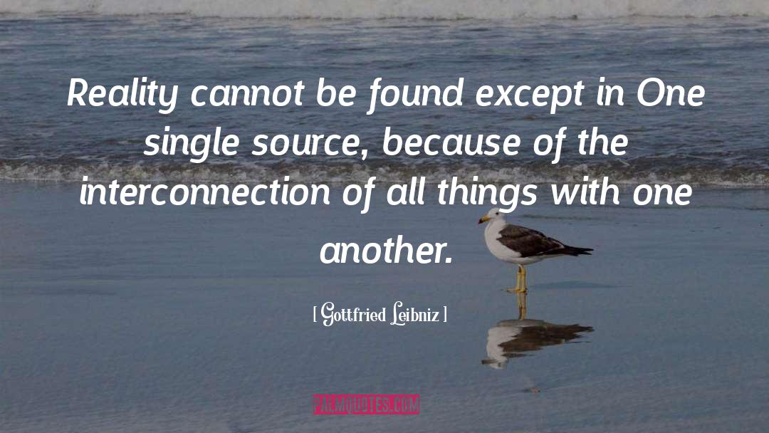 Gottfried Leibniz Quotes: Reality cannot be found except