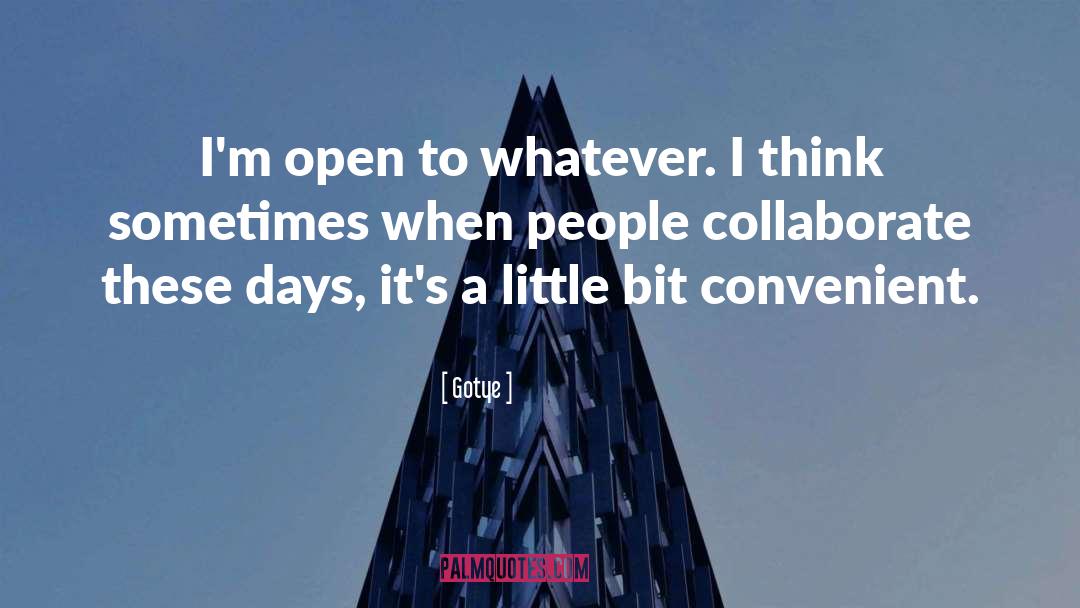 Gotye Quotes: I'm open to whatever. I