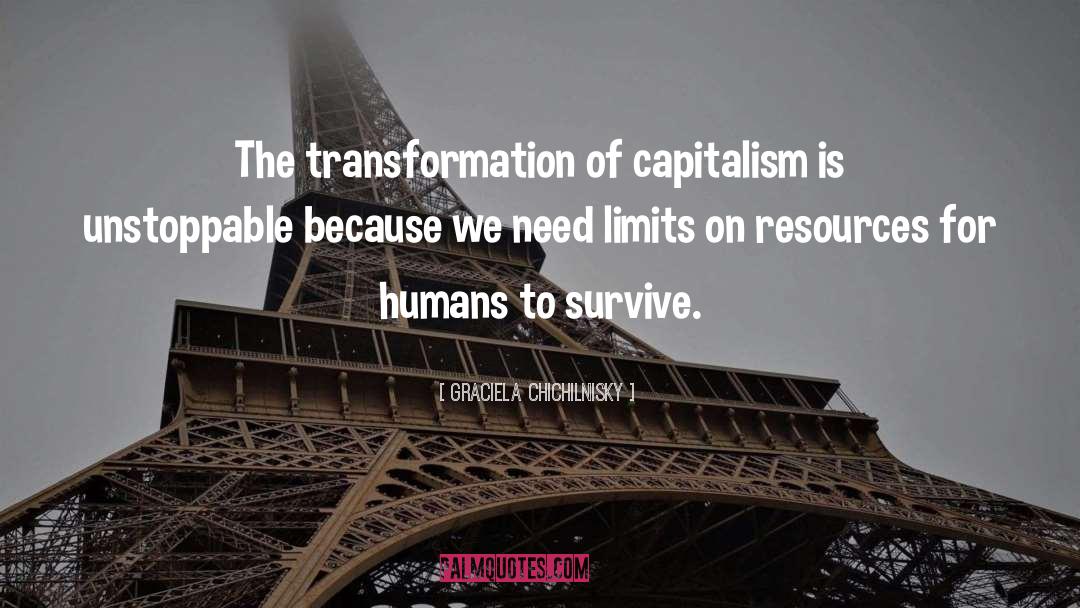 Graciela Chichilnisky Quotes: The transformation of capitalism is