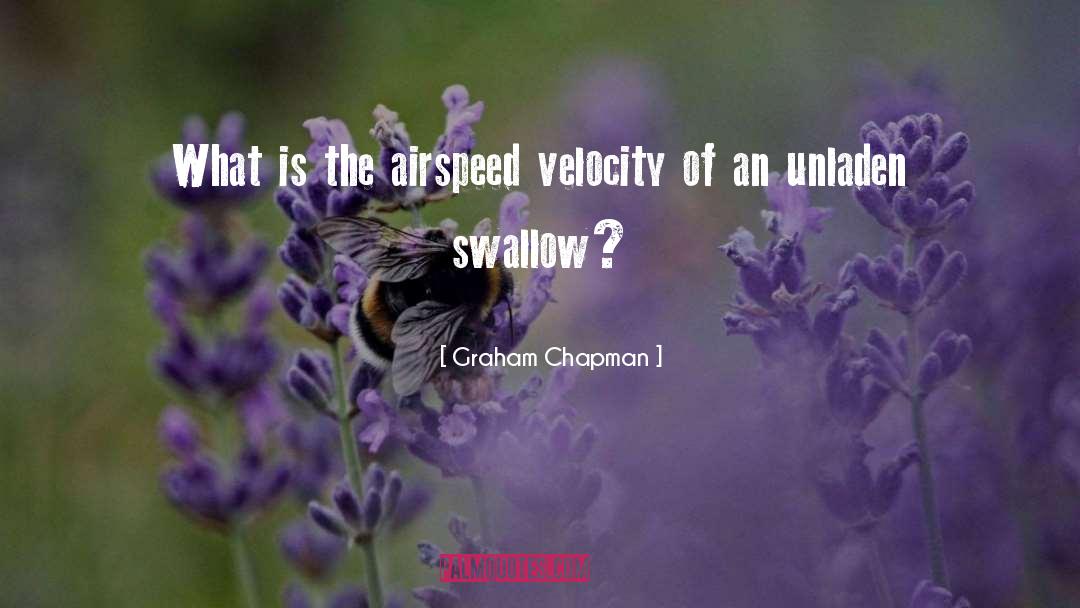 Graham Chapman Quotes: What is the airspeed velocity