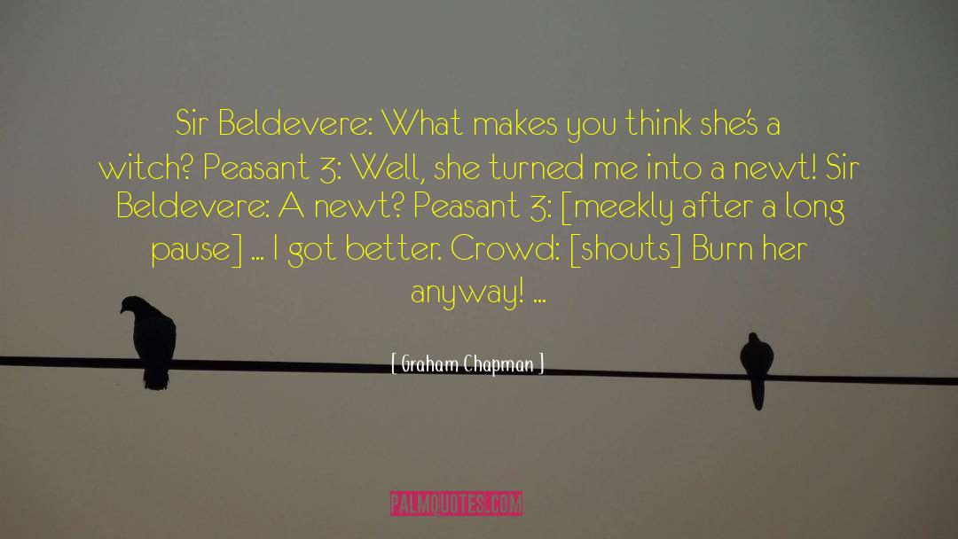 Graham Chapman Quotes: Sir Beldevere: What makes you