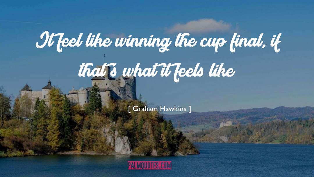 Graham Hawkins Quotes: It feel like winning the