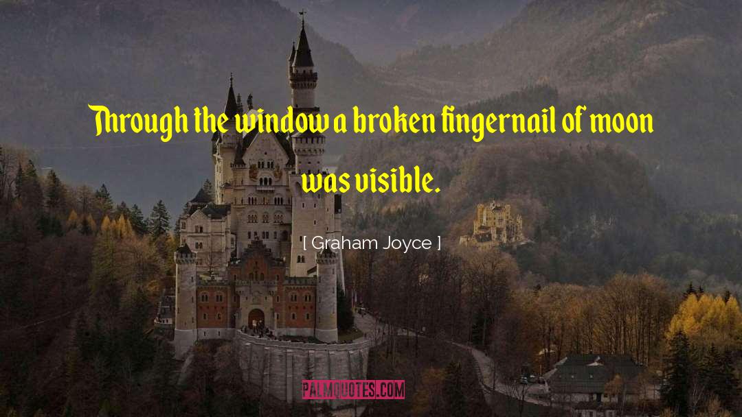 Graham Joyce Quotes: Through the window a broken