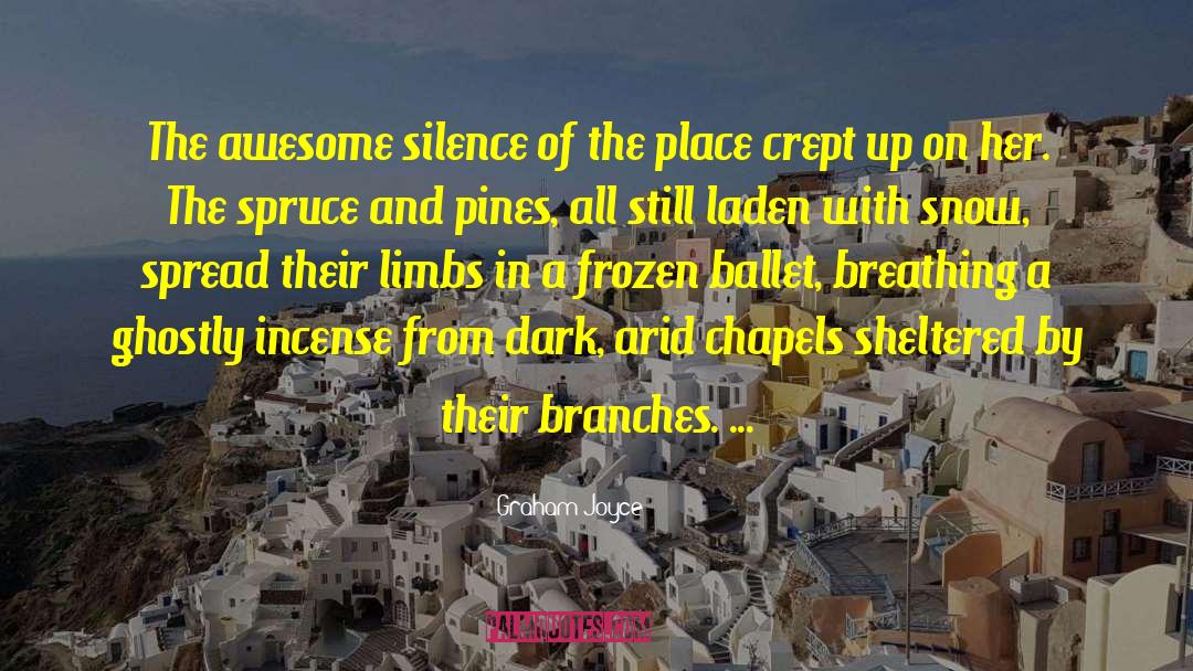 Graham Joyce Quotes: The awesome silence of the