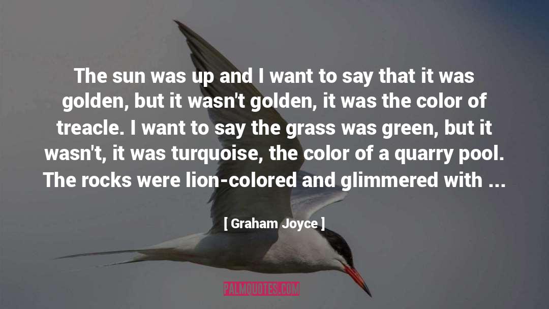 Graham Joyce Quotes: The sun was up and