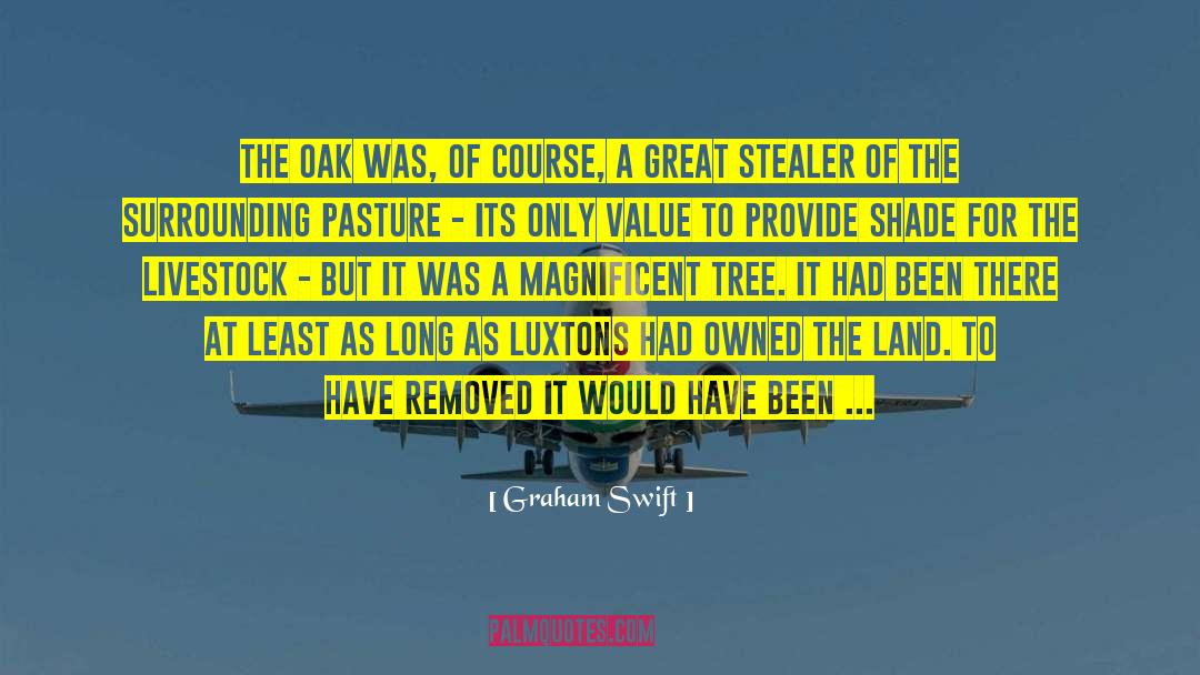 Graham Swift Quotes: The oak was, of course,